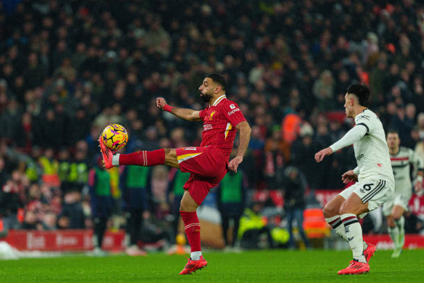 核心莫兰特 核心莫兰特